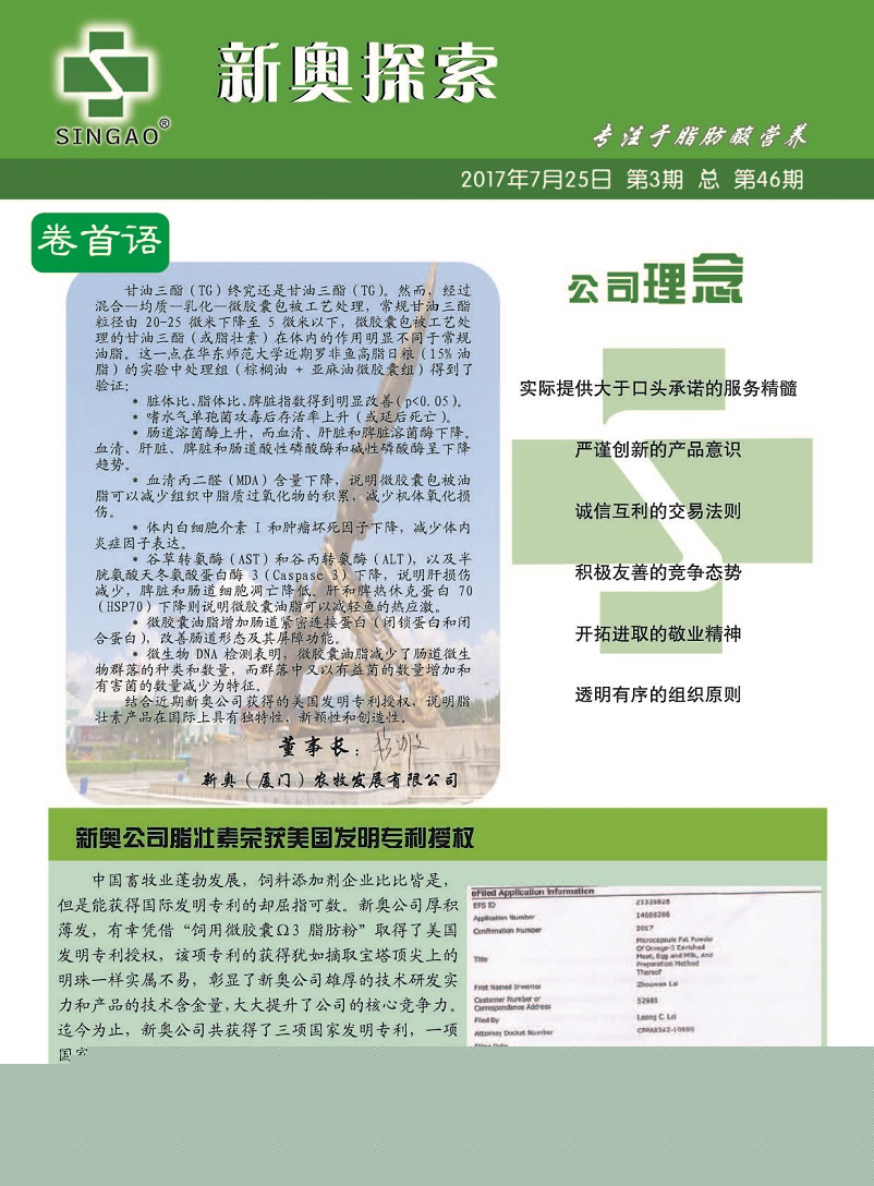 鸡西_新澳天天彩免费资料大全查询,不齿解谜详细解答、解释与落实